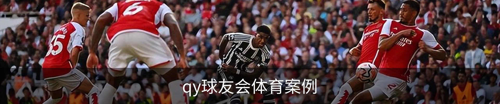 qy球友会体育案例